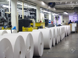 Papierindustrie